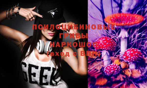 мдма Каменногорск