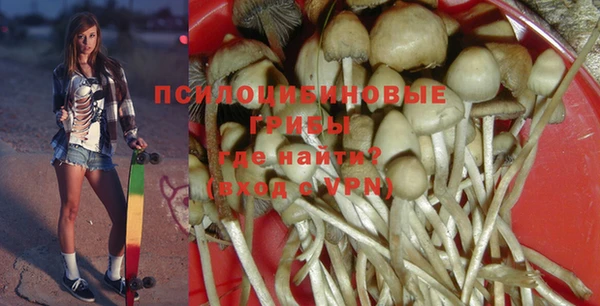 гидра Каменск-Шахтинский